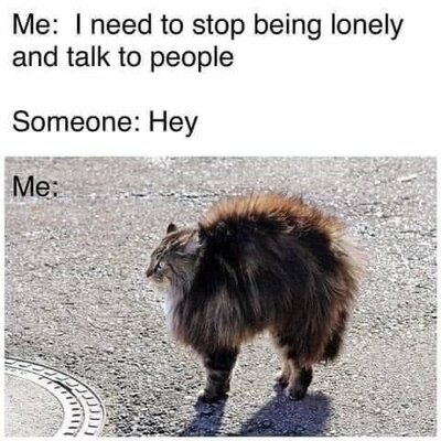 animal-need-stop-being-lonely-and-talk-people-someone-hey-erre_639367cf59ea7_63d80d895cf35.jpeg