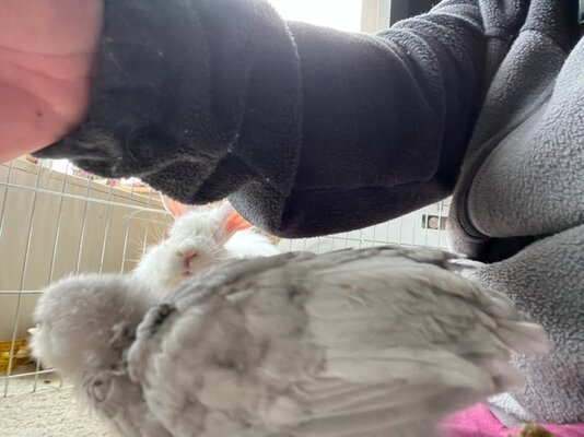 IMG_1609.jpeg