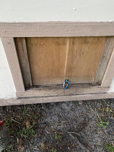 Door latch with caribeaner.jpeg