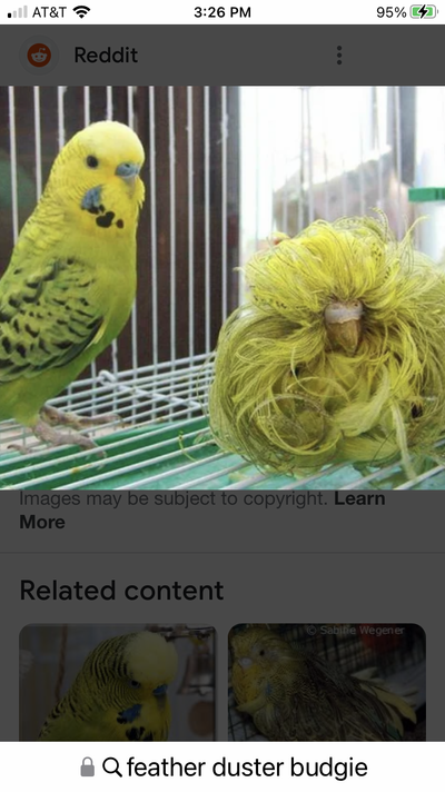 603A74A8-F1BB-4435-A61C-43AAB31B9608.png