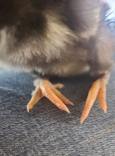 20230426_150733.jpg