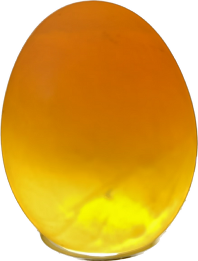 27EBB748-F716-4F1A-90E8-B70F726D36BB.png