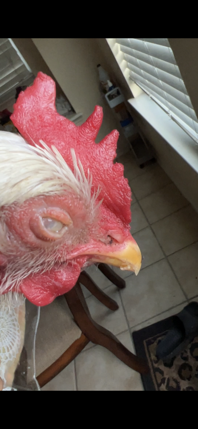 B6AB3348-D3F1-44EF-9997-B722B36DE73A.png