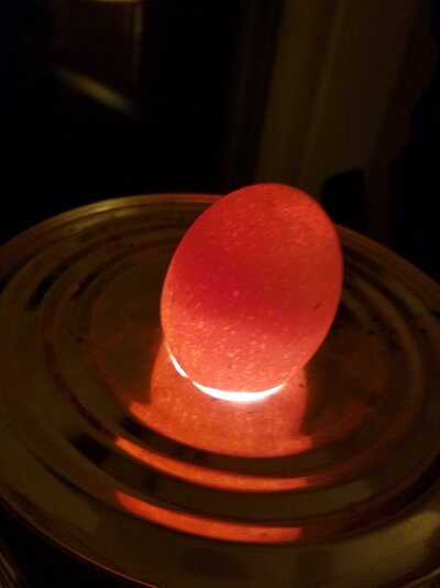 20230423_215747.jpg