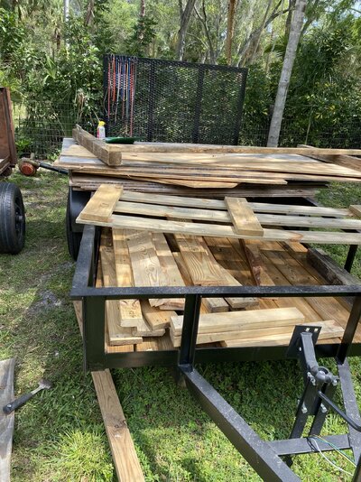 move wood to utility trailer.jpeg