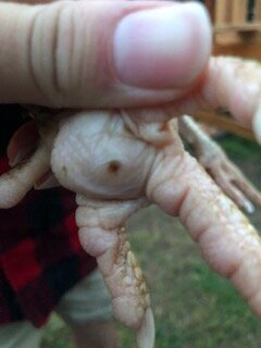 thumbnail_IMG_2943.jpg