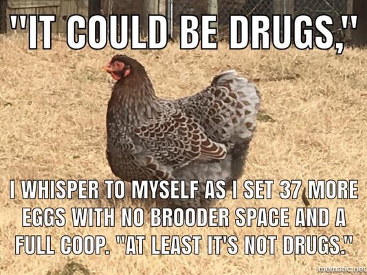 It Could Be Drugs.jpg