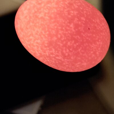 20230514_135841.jpg