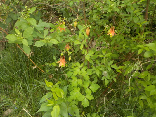 DSCN1191.JPG