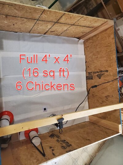 Full Brooder.jpg