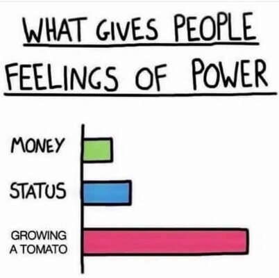 FB_IMG_1684365665717.jpg