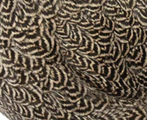 12C652CC-DA25-4F16-AD8A-C4D91B9B9B55.jpeg