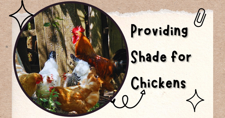 Are Herbicides and Pesticides Safe for Chickens (3).png