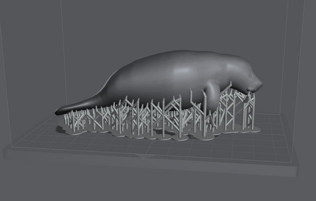 Screenshot 2023-06-03 142604.png