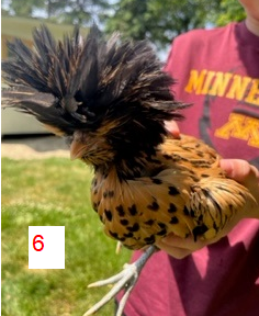 Snap16.png