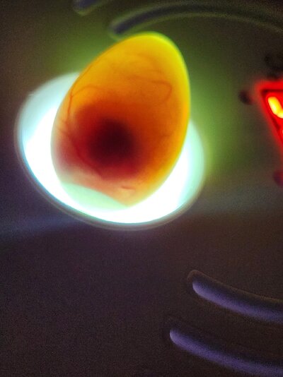 20230613_123327.jpg