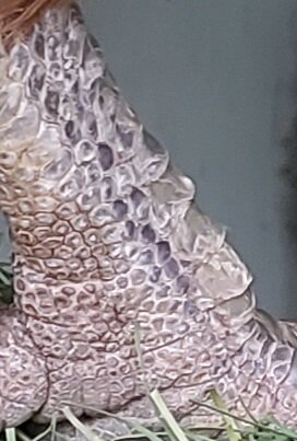 20230608_164333.jpg