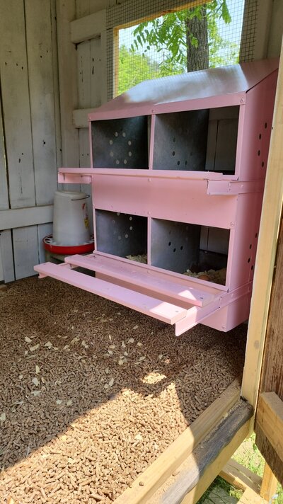 nesting box photo.jpg