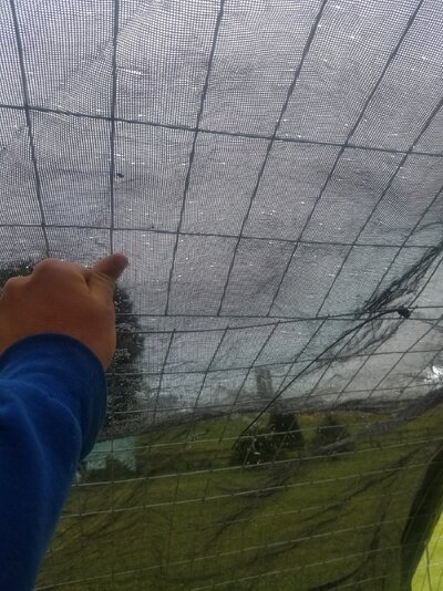 20230621_161012.jpg