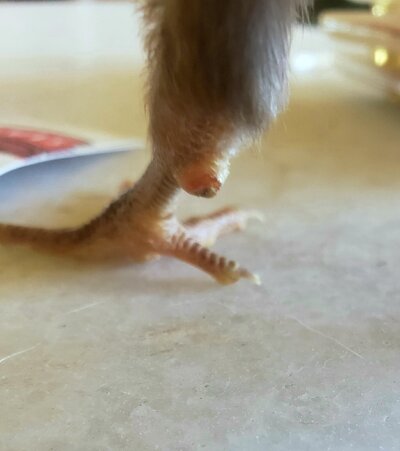 20230622_170217.jpg