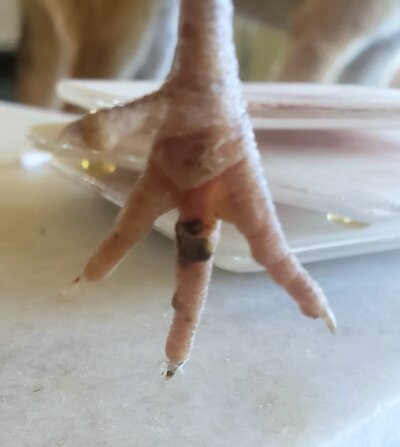 20230622_170315.jpg
