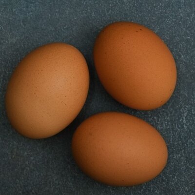 3-dark-brown-eggs-1024x1024.jpg