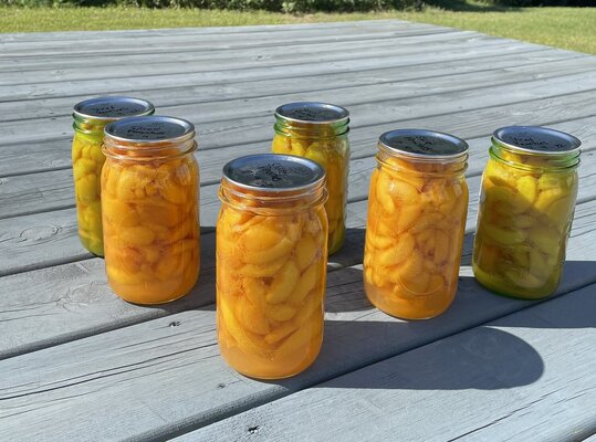 cropped_2022_air_canning_2.jpg