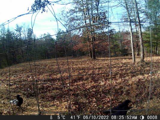 DSCF0008.JPG