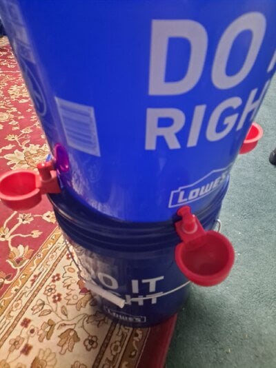 20230705_211919.jpg