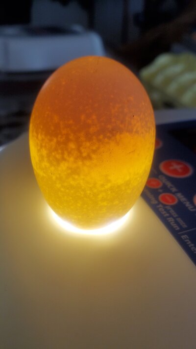 20230712_182426.jpg