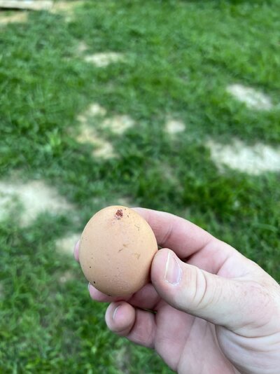 IMG_0355.jpeg