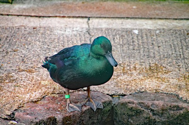 Depositphotos_380954796_l-2015.jpg