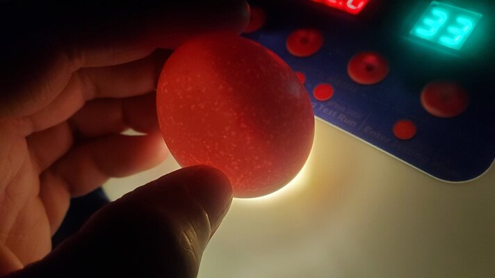 20230714_231833.jpg
