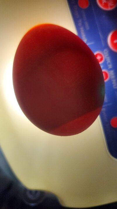 20230714_231629.jpg