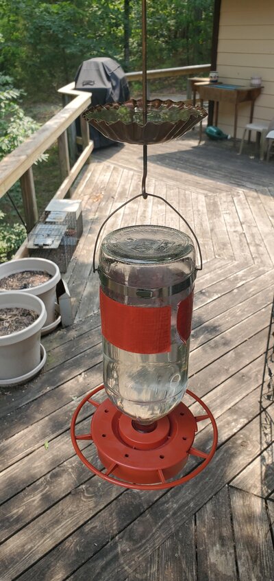 ant-block-01.jpg
