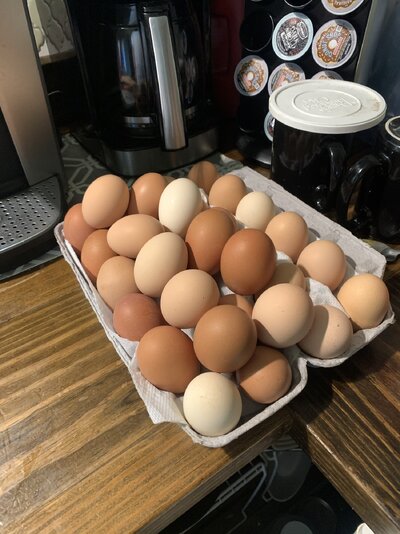 06A4EE0E-E17E-43EF-B86F-580D5FA82E99.jpeg