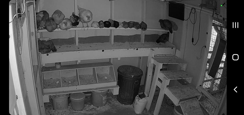 Screenshot_20230718-213902_Wyze.jpg