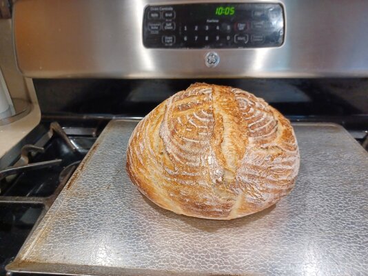 Overnight sourdough bread July 22 2023.jpg