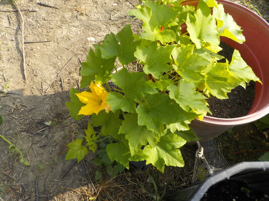 DSCN1228.JPG