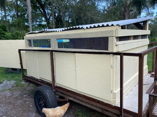 chicken coop painted back and side.jpeg