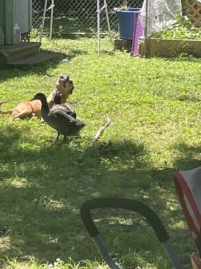 IMG_8242.jpeg