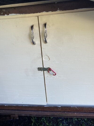 Doors for egg collection with handles and latch.jpeg