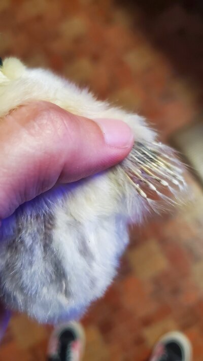 20230801_183551.jpg