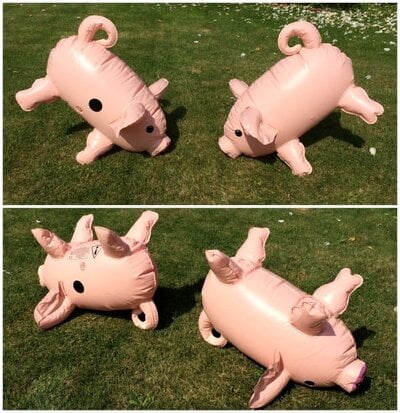 Giant-Pass-the-Pigs.jpg