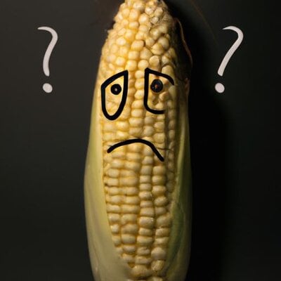 A corn cob with a confused face (1).jpg
