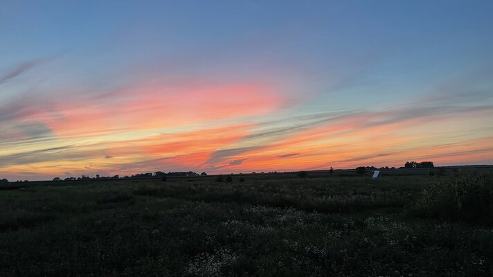 IMG_0804.jpeg