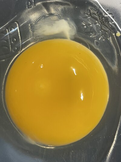 8CC750D9-1B48-43D0-BE9F-A08ED8062E83.jpeg