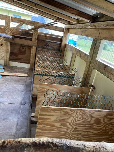 nesting boxes with netting to prevent roosting on dividers.jpeg