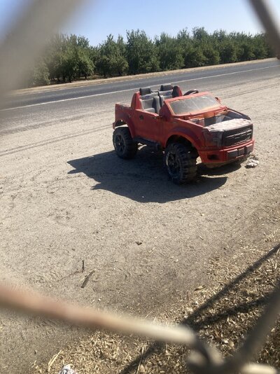 IMG_3498.jpeg