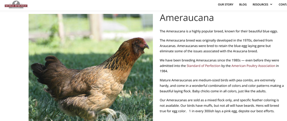 Screenshot 2023-08-30 3.10.39 PM.png